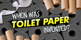 When Was Toilet Paper Invented