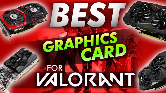 Best Graphics Card For Valorant Best Graphics Card For Valorant